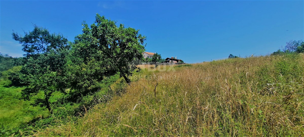 Terrain À vendre - ISTARSKA BUZET