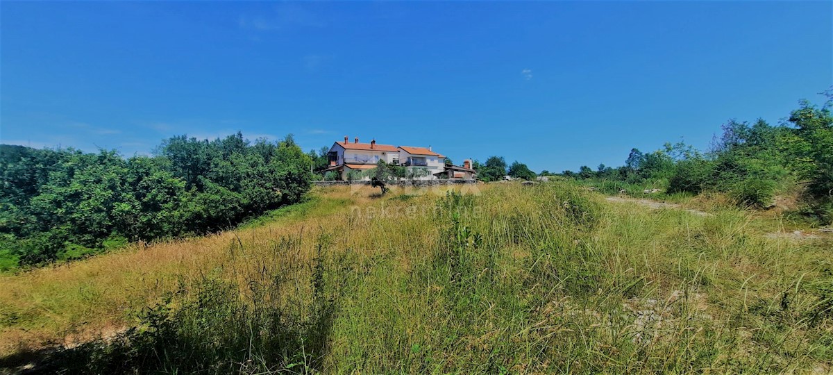 Terrain À vendre - ISTARSKA BUZET