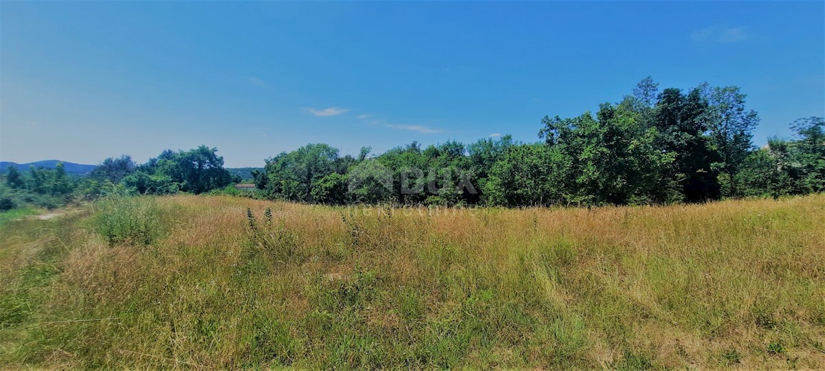 Terrain À vendre - ISTARSKA BUZET