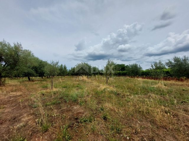 Terreno In vendita - Istarska Brtonigla - foto 4/6