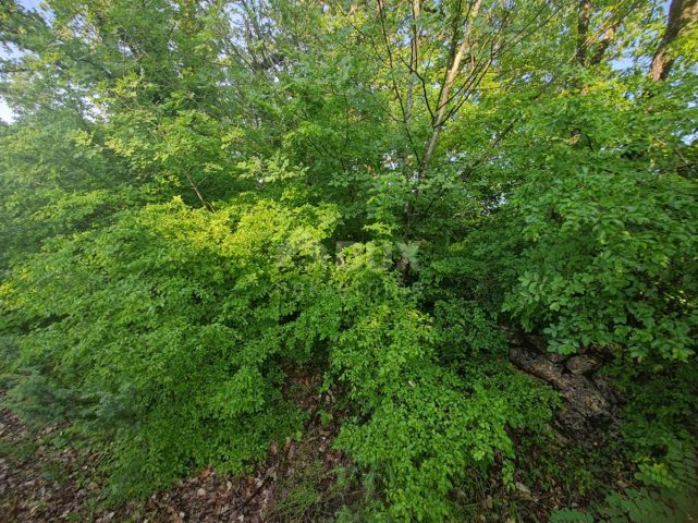 Grundstück zu verkaufen 2154 m² – Sužan