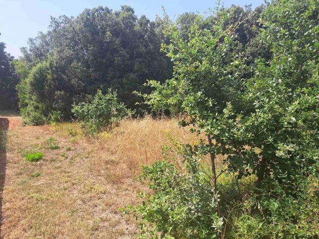 Land For sale - Istarska Pula - foto 3/5