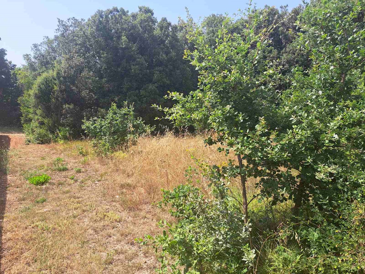Terreno In vendita - Istarska Pula - foto 3/5