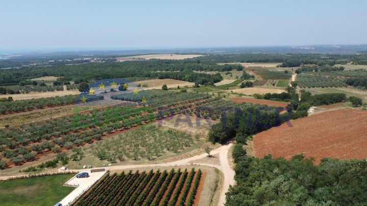 Parcela Naprodaj - Istarska Kaštelir - foto 5/14