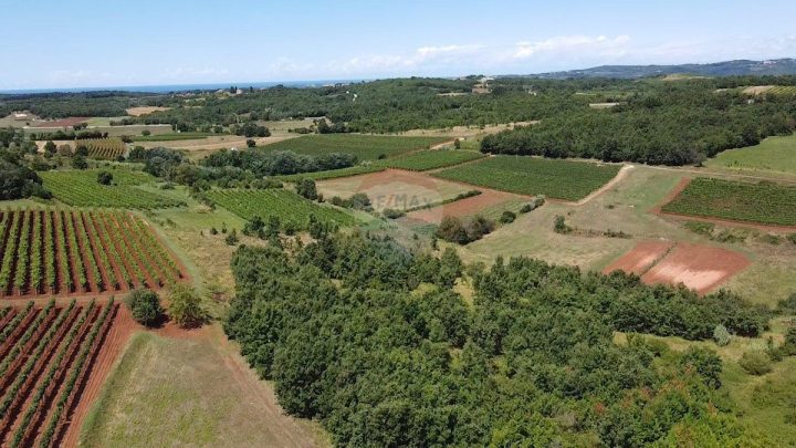 Terrain à vendre 10286 m² – Vižinada