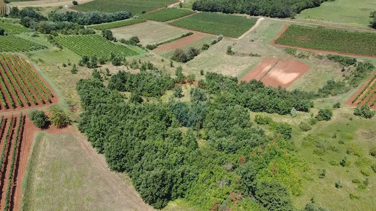 Parcela Naprodaj - ISTARSKA Vižinada