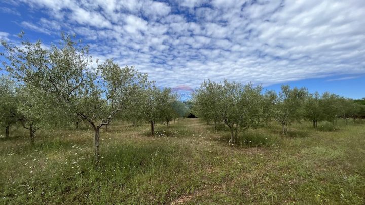 Pozemek na prodej 8841 m² – Labinci