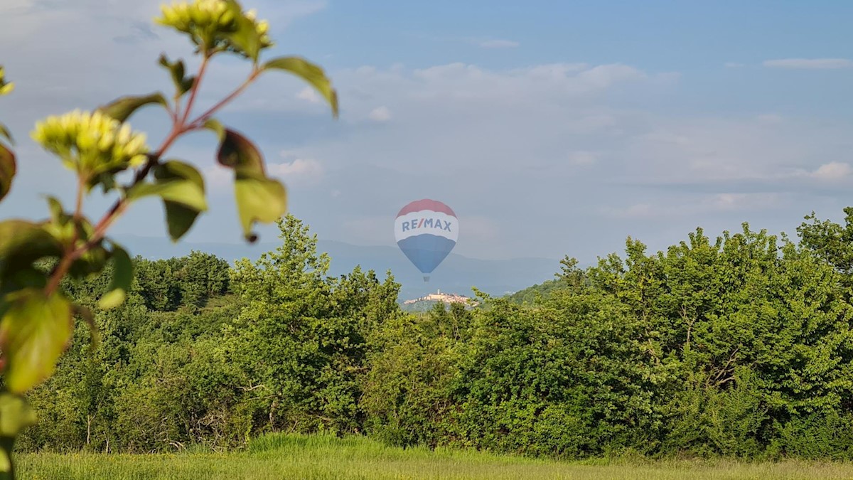 Land For sale - ISTARSKA VIŽINADA