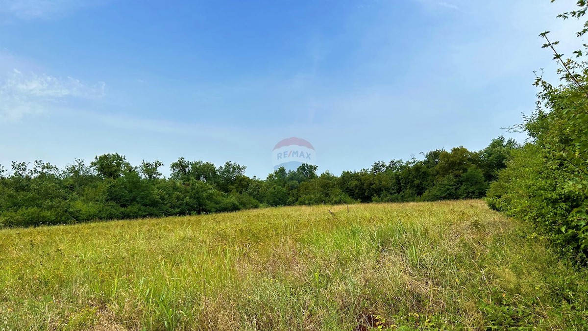 Land For sale - ISTARSKA UMAG