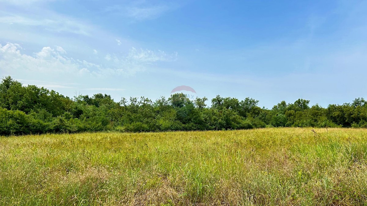 Land For sale - ISTARSKA UMAG