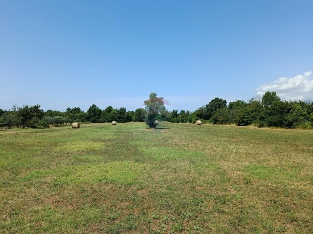 Pozemek na prodej 5864 m² – Juršići