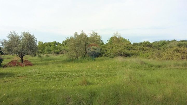 Grundstück Zu verkaufen - Istarska Umag - foto 2/5