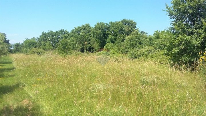 Grundstück Zu verkaufen - Istarska Umag - foto 4/5