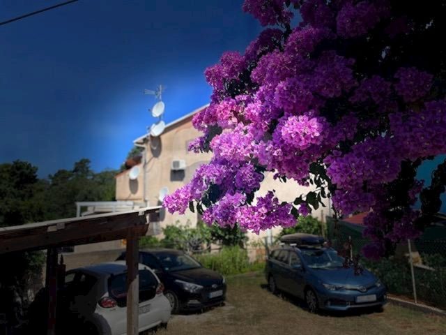 Apartma Naprodaj - Primorsko-goranska Mali Lošinj - foto 3/30