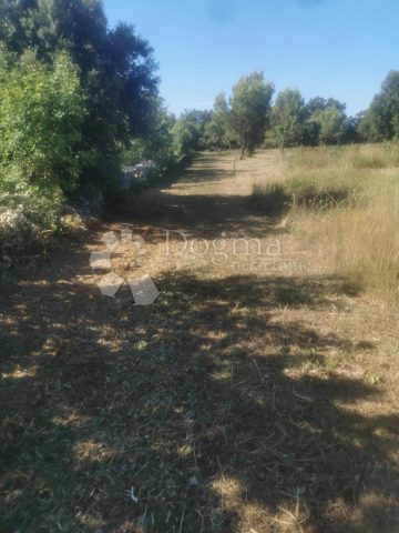 Działka Na sprzedaż - Istarska Marčana - foto 4/5