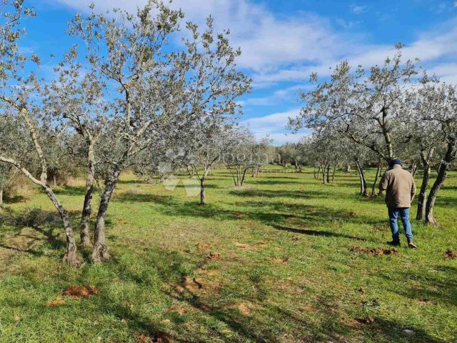 Parcela Naprodaj - Istarska Fažana - foto 5/9
