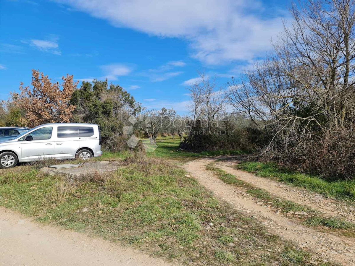 Pozemok Na predaj - ISTARSKA FAŽANA