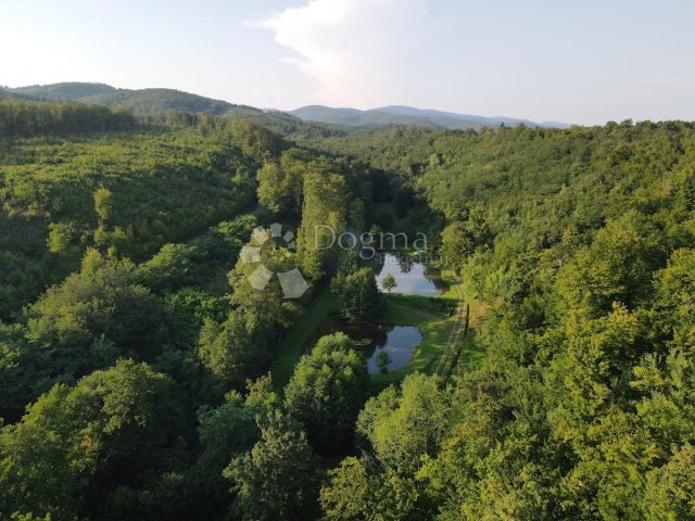 Pozemok Na predaj - Brodsko-posavska Cernik - foto 2/7