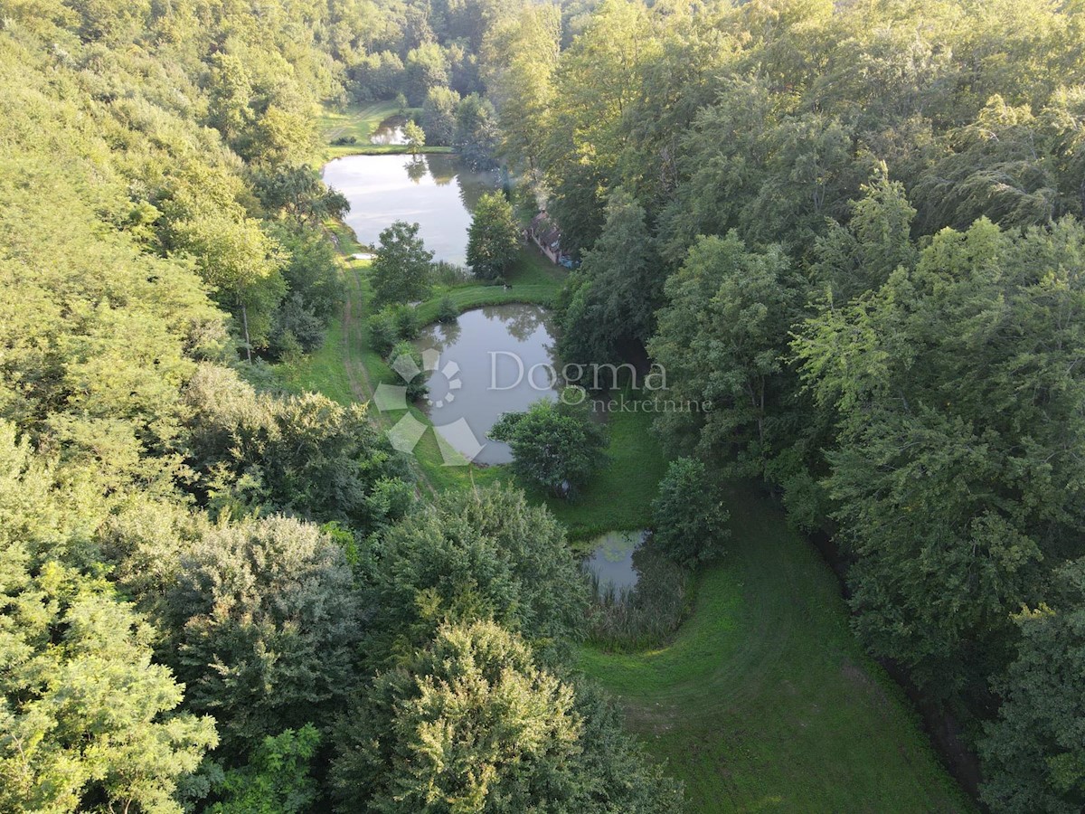 Grundstück Zu verkaufen - BRODSKO-POSAVSKA CERNIK