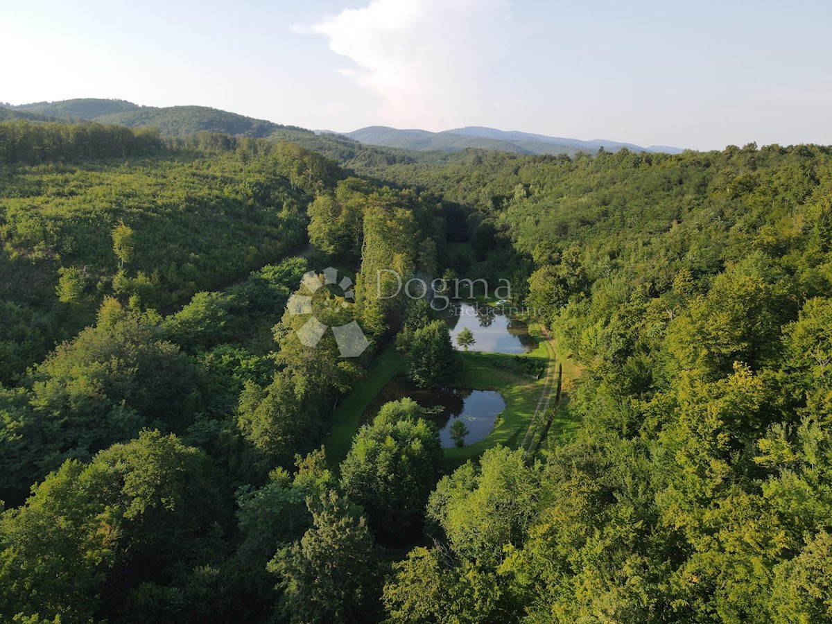 Grundstück Zu verkaufen - BRODSKO-POSAVSKA CERNIK