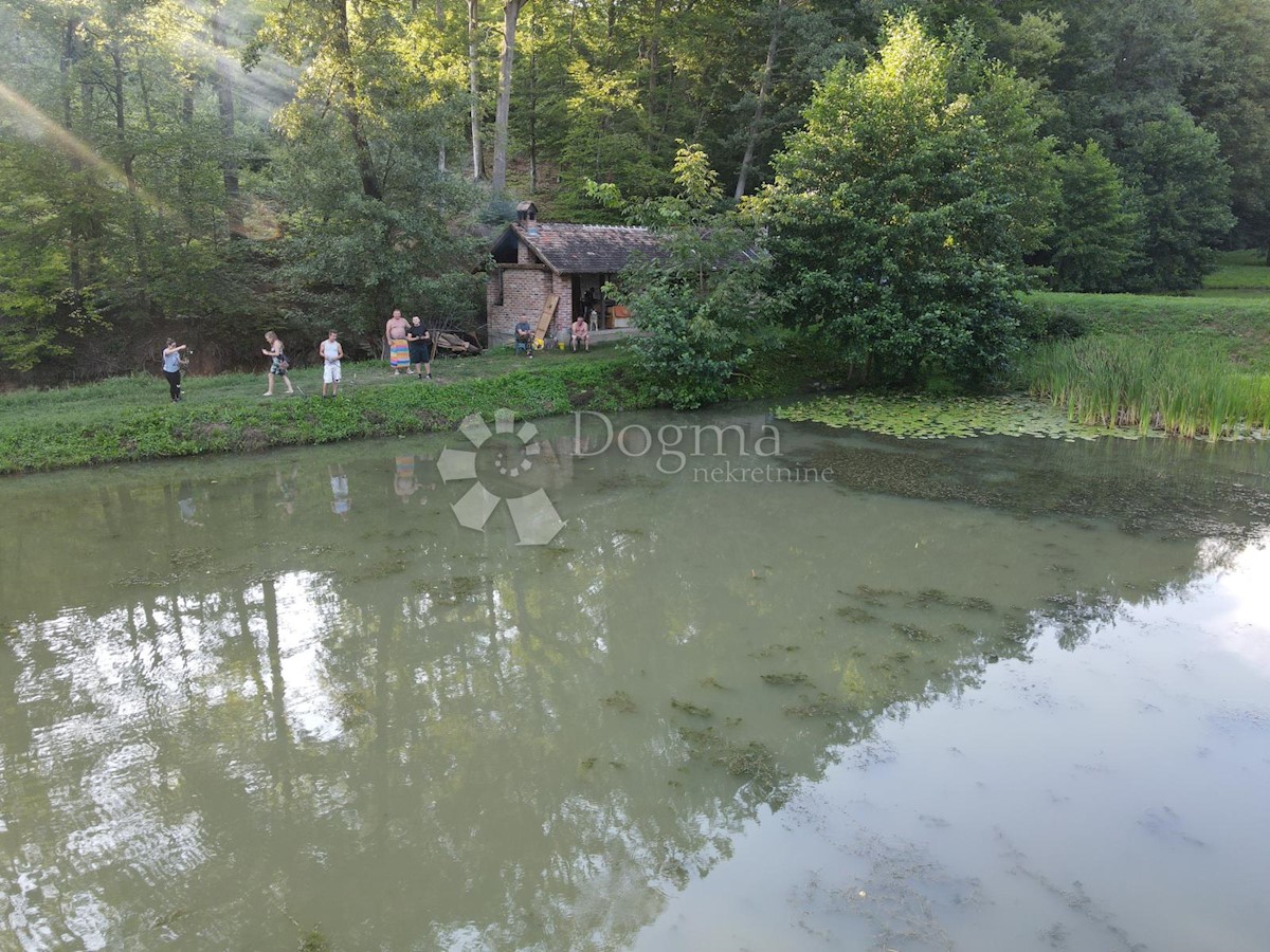 Pozemok Na predaj - BRODSKO-POSAVSKA CERNIK