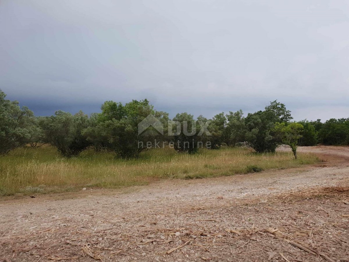 Terrain À vendre - Istarska Vodnjan - foto 1/1