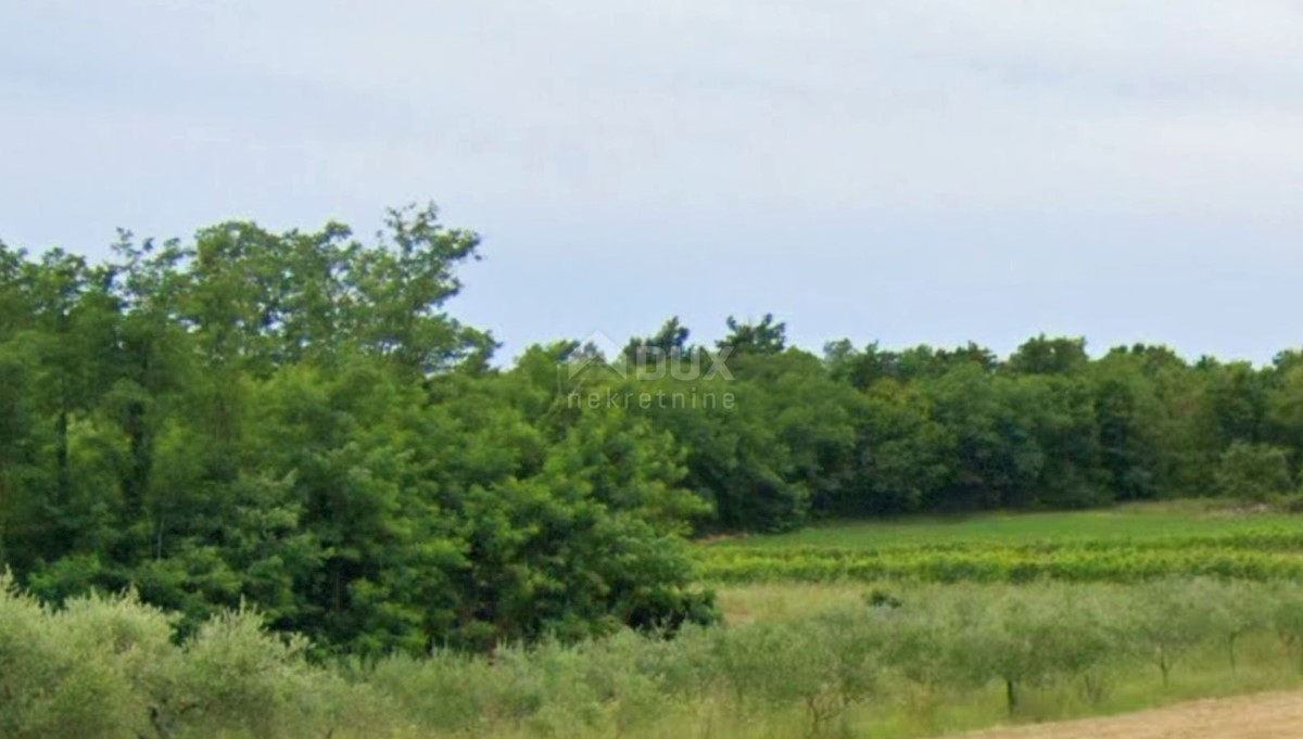 Działka Na sprzedaż - Istarska Barban - foto 2/2