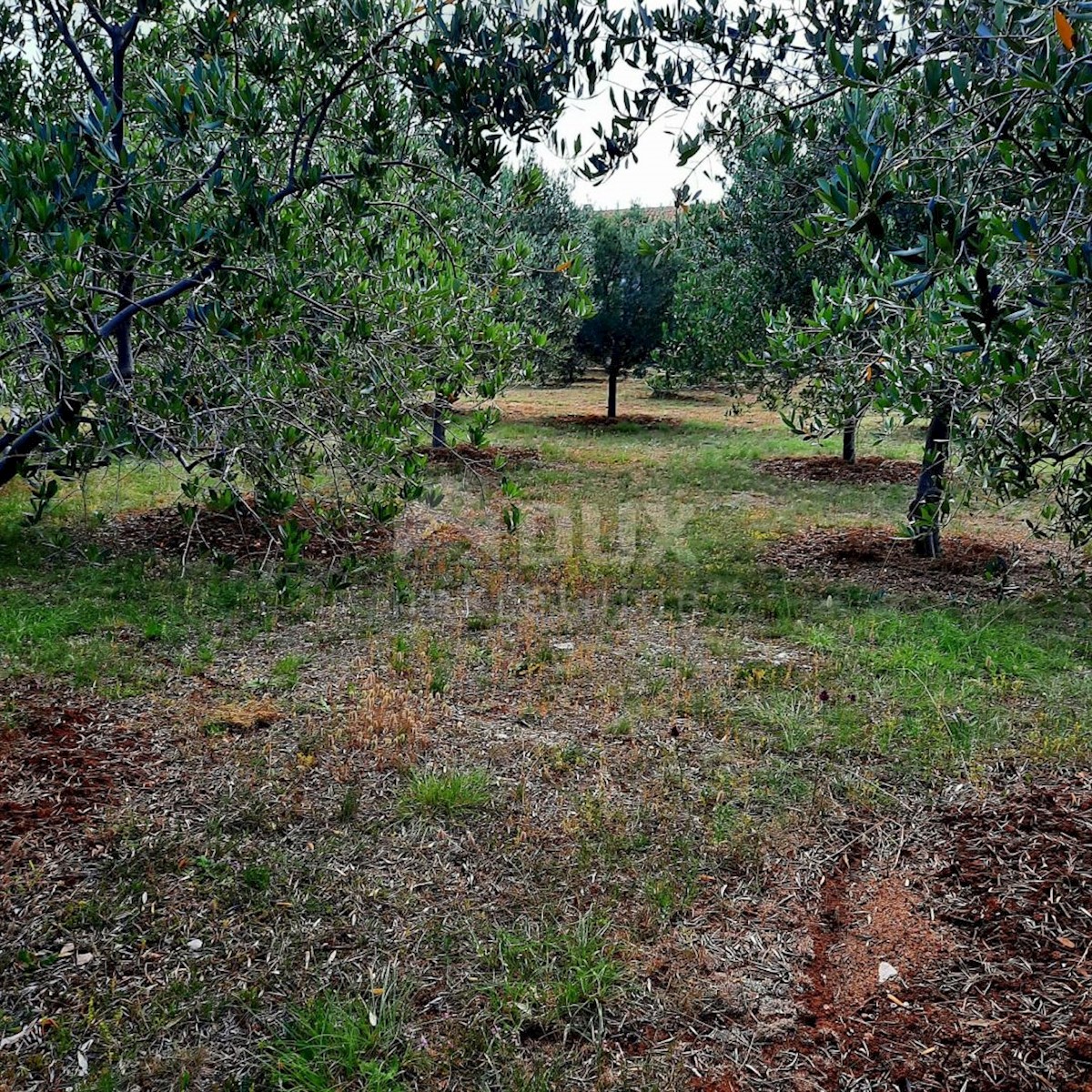 House For sale - ZADARSKA VIR