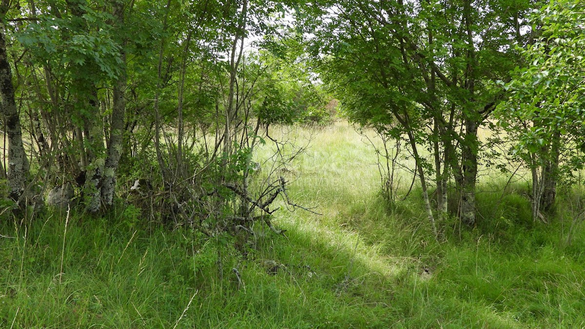 Terreno In vendita - PRIMORSKO-GORANSKA MATULJI