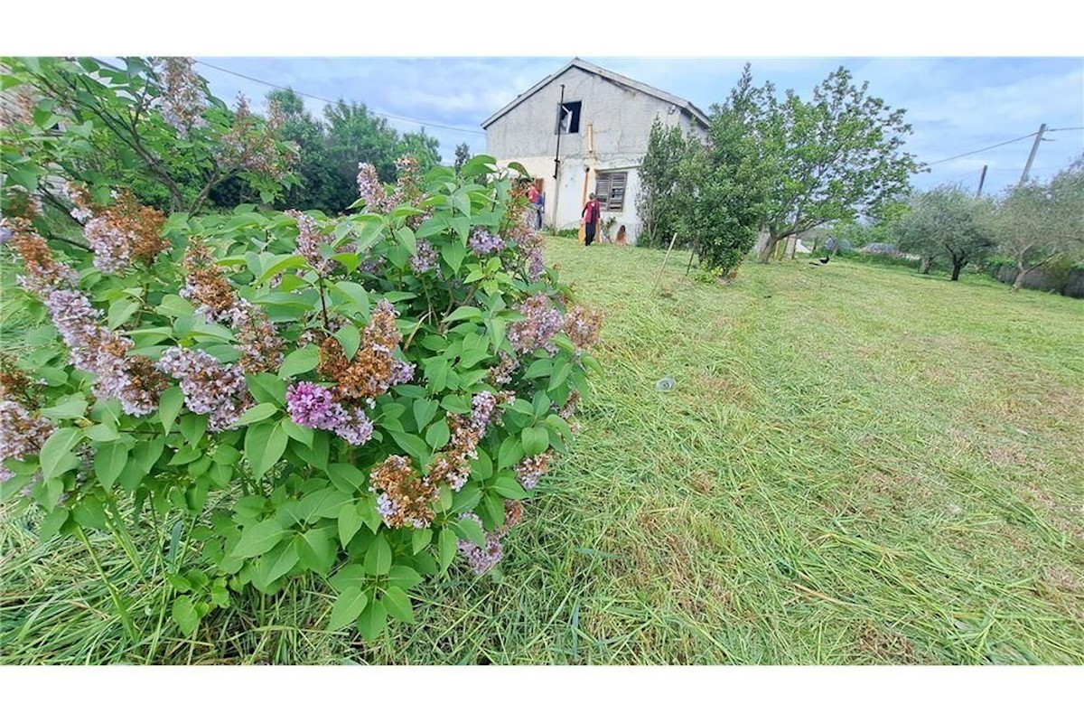 Haus Zu verkaufen - ZADARSKA POSEDARJE