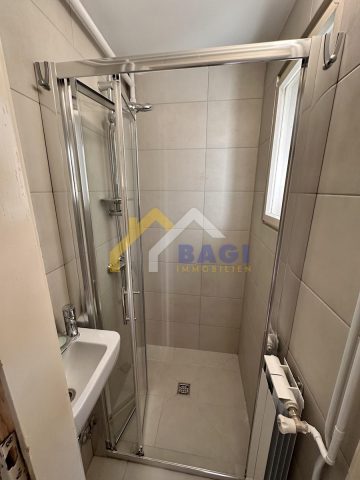 House for rent 300 m² – Peščenica