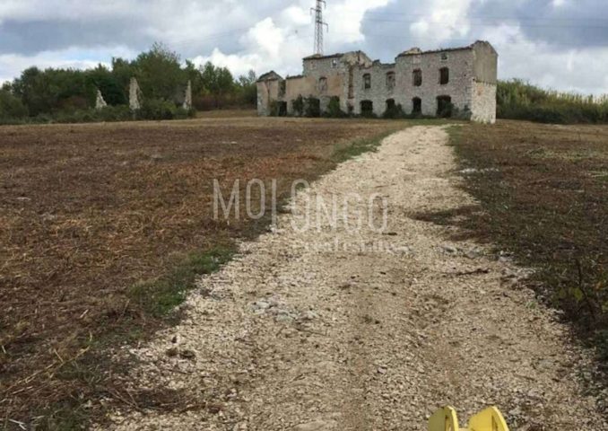 Pozemok na predaj 10000 m² – Buje