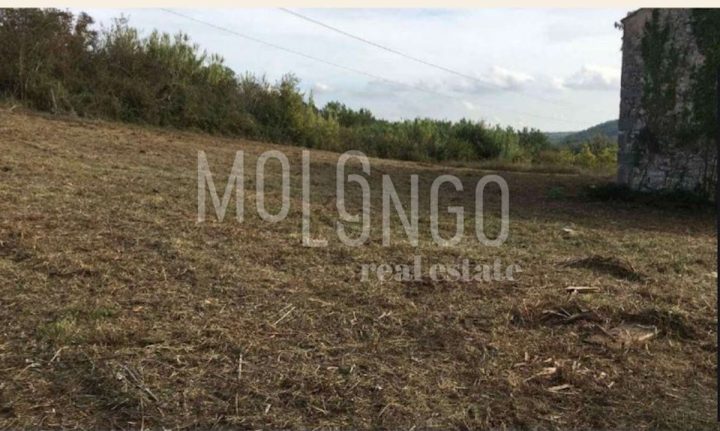 Land For sale - Istarska Buje - foto 2/2