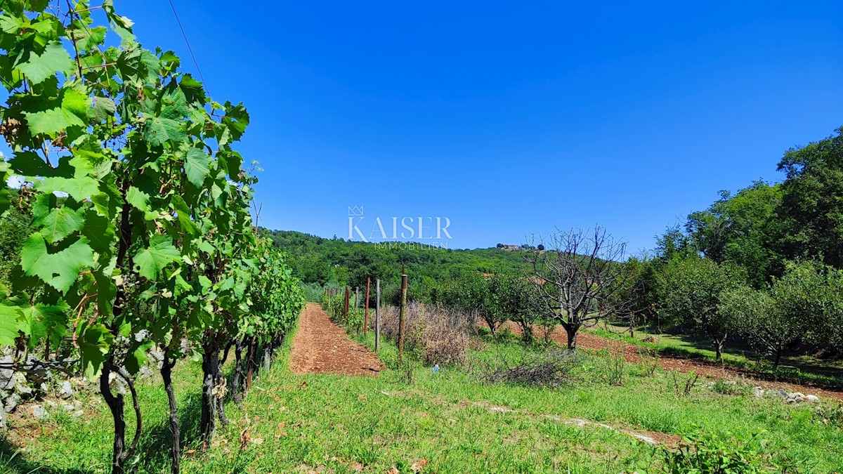 Terreno In vendita - Istarska Labin - foto 2/9