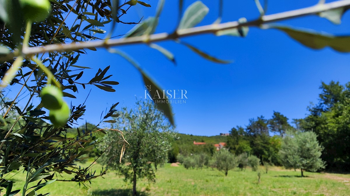 Terreno In vendita - Istarska Labin - foto 3/9