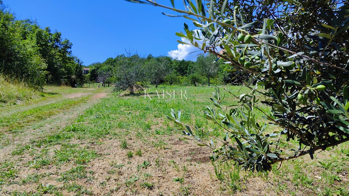 Terreno In vendita - Istarska Labin - foto 4/9