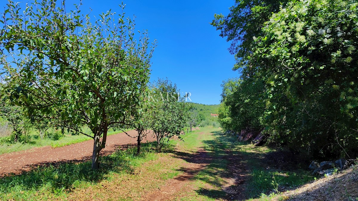Terreno In vendita - ISTARSKA LABIN