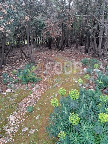 Zemljište Na prodaju - Primorsko-goranska Mali Lošinj - foto 3/3