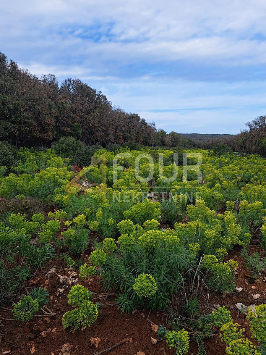 Terreno In vendita - PRIMORSKO-GORANSKA MALI LOŠINJ