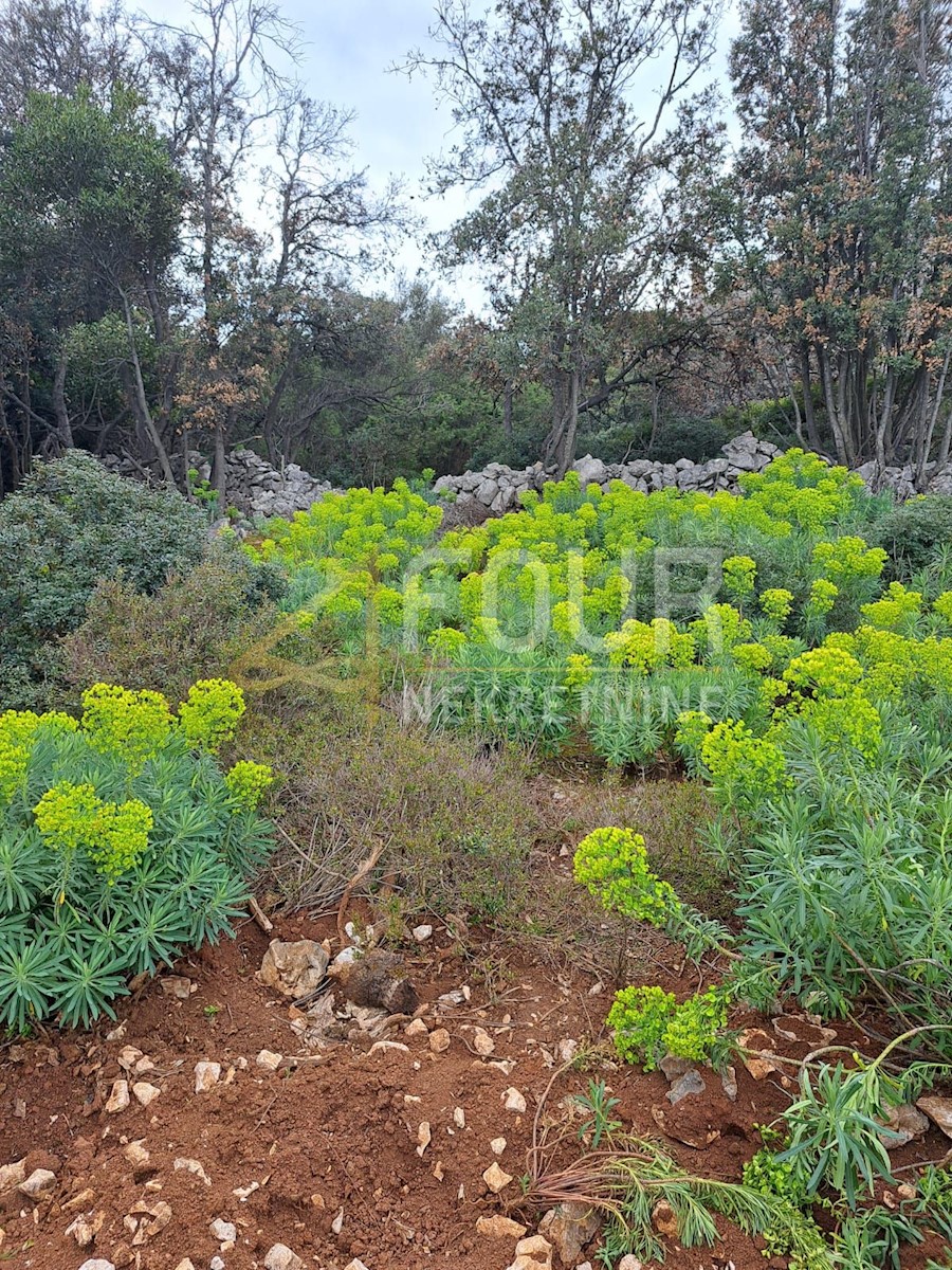 Terreno In vendita - PRIMORSKO-GORANSKA MALI LOŠINJ