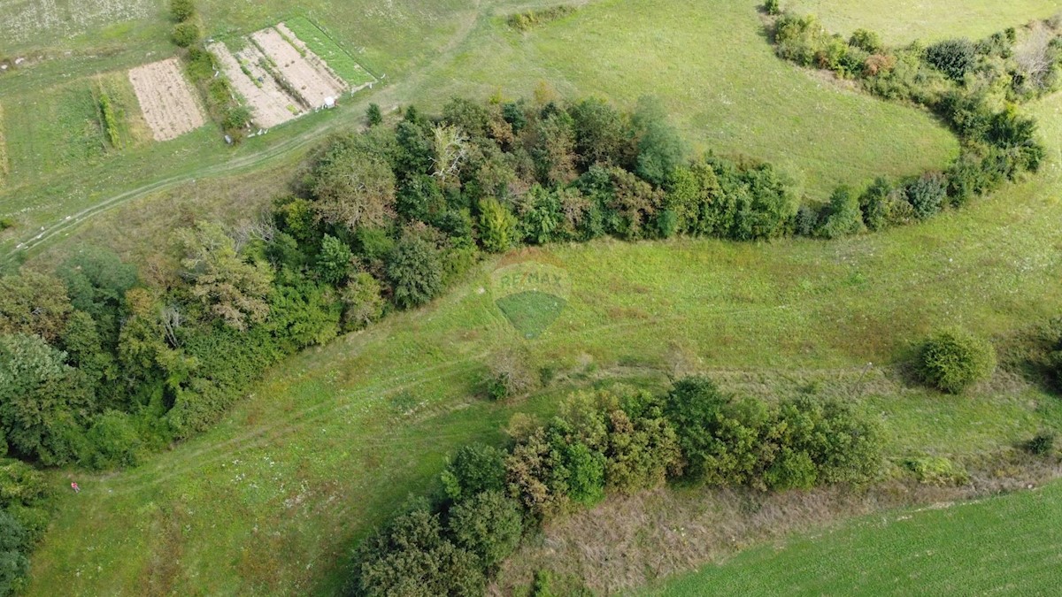 Parcela Naprodaj - ISTARSKA Pazin
