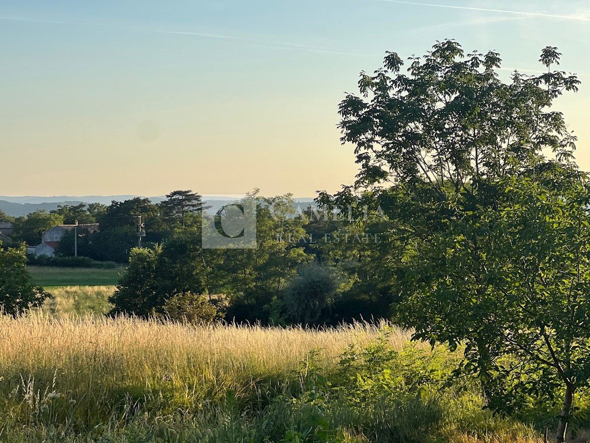 Terreno In vendita - ISTARSKA BUZET