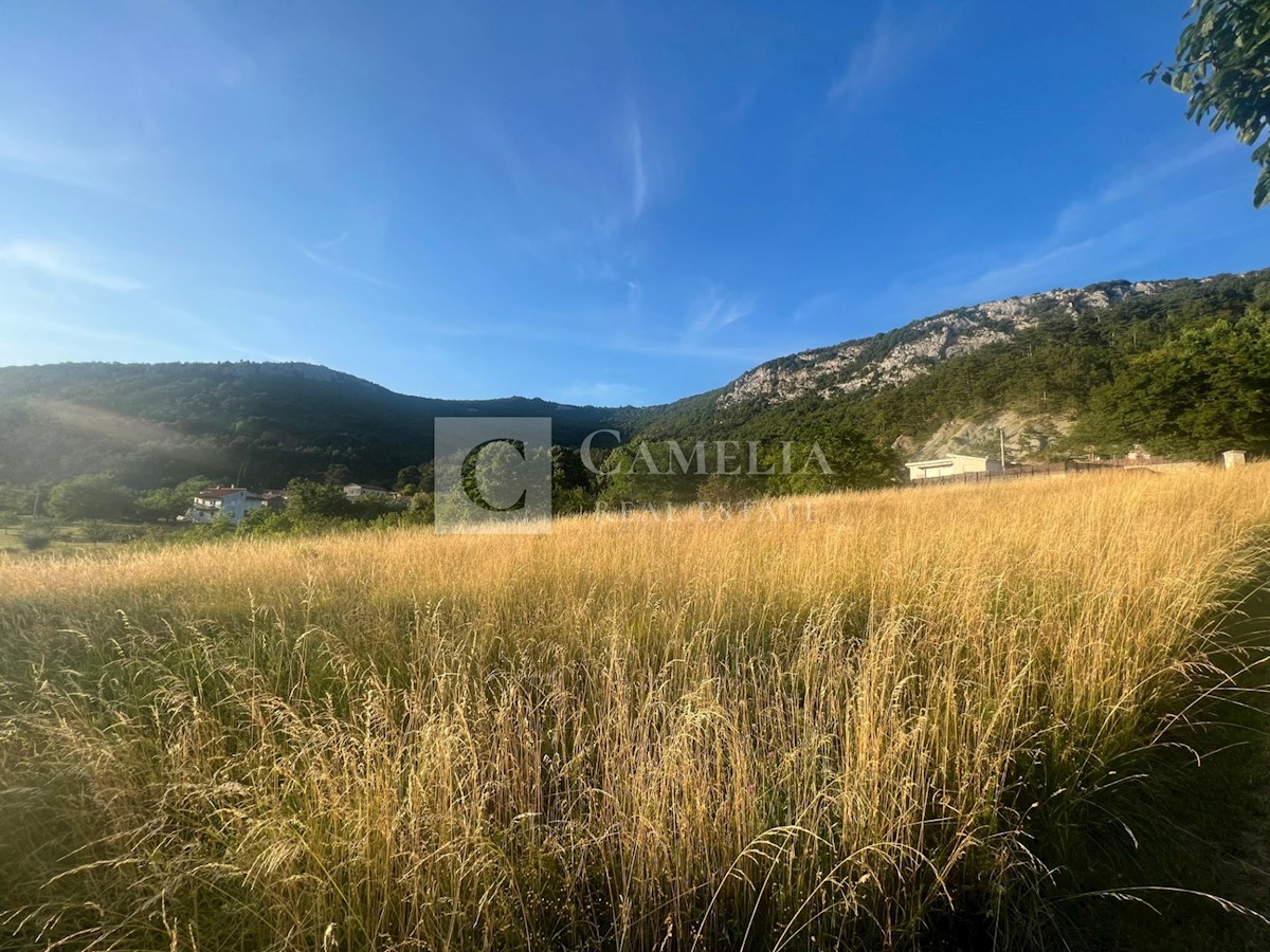 Terreno In vendita - ISTARSKA BUZET