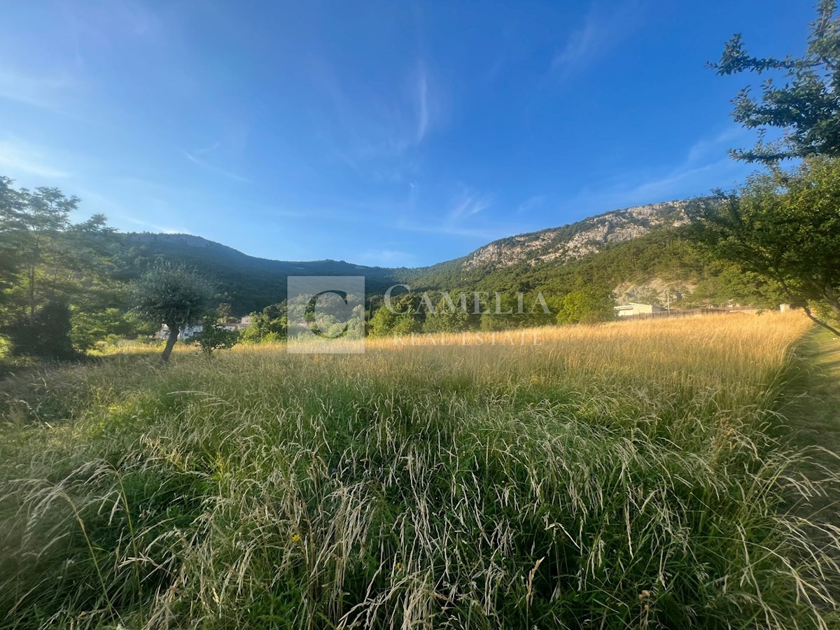 Terreno In vendita - ISTARSKA BUZET