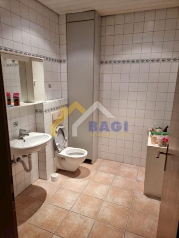 House For rent - Grad Zagreb Zagreb - foto 4/20