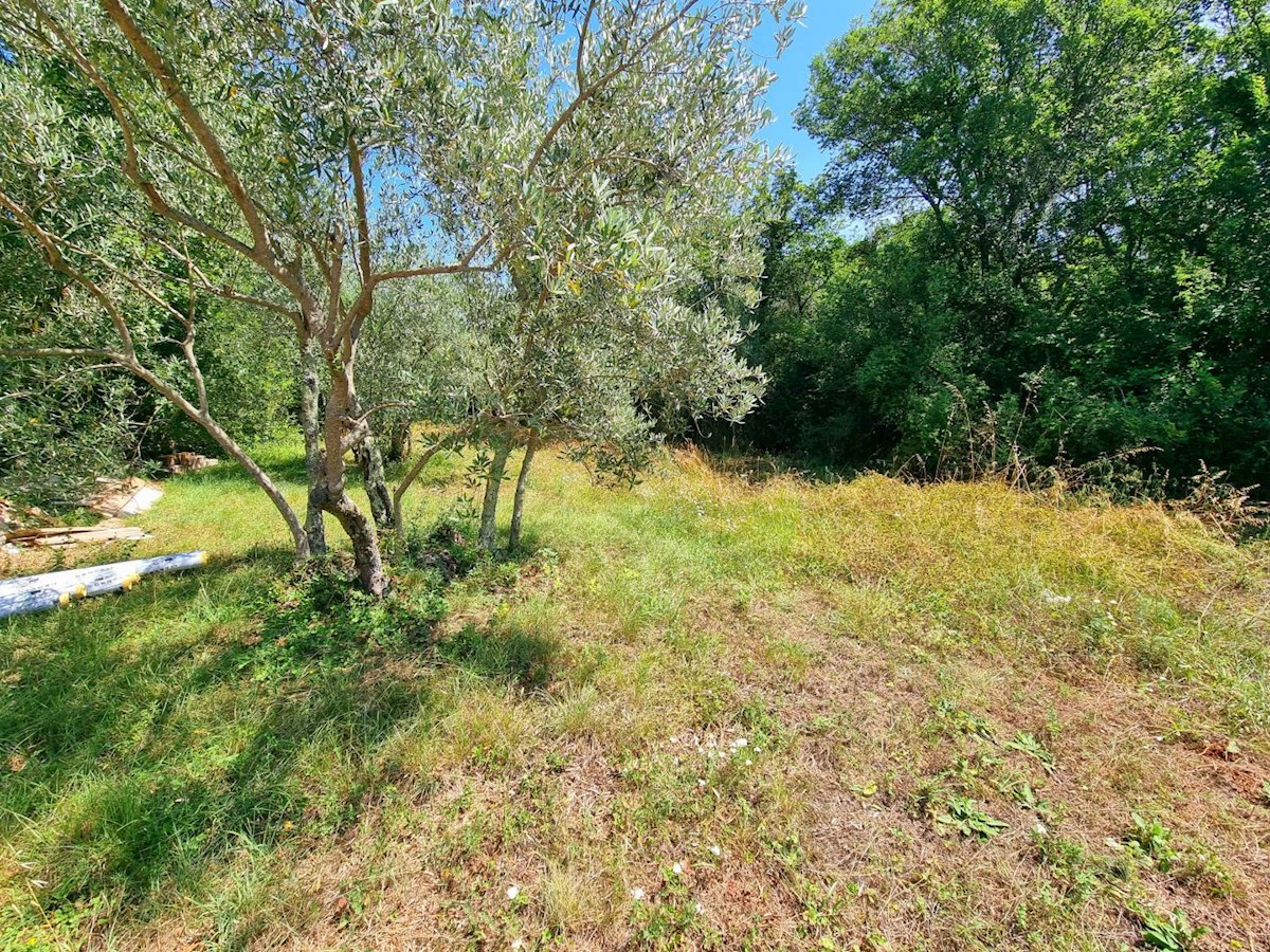 Land For sale - PRIMORSKO-GORANSKA KRK