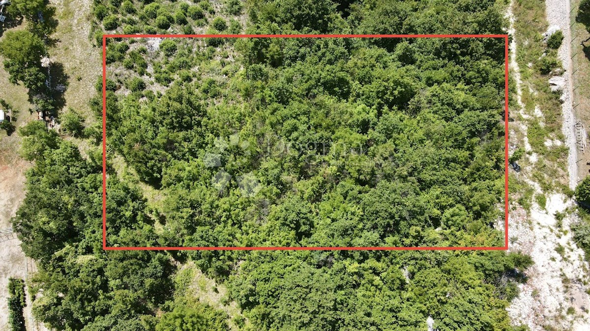 Land For sale - ISTARSKA LABIN