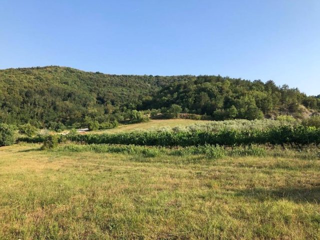 Pozemek Na prodej - Istarska Pazin - foto 5/6