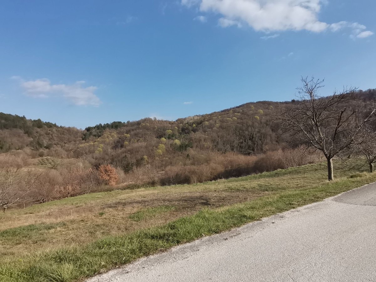 Land For sale - ISTARSKA PAZIN