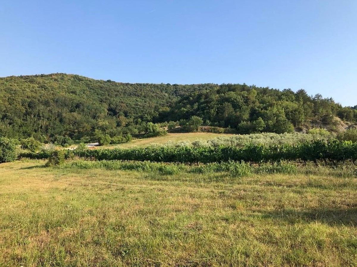 Pozemek Na prodej - ISTARSKA PAZIN